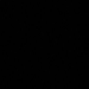 Meet your Posher, FlGators9898